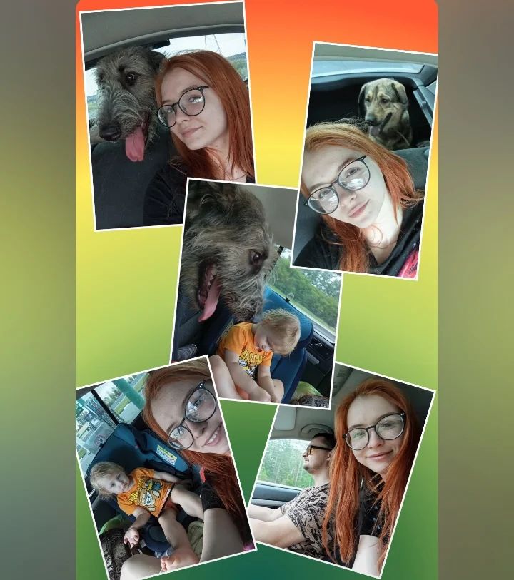 elya.g.e в LOOKY — Наша весёлая семейная дорога домой🚗👨‍👩‍👧🐶
Барнаул-Новок