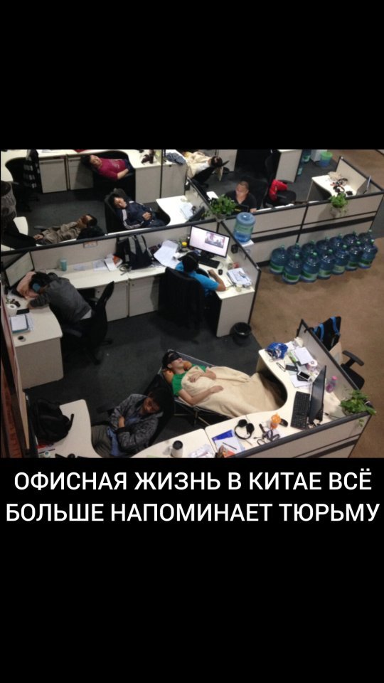 faktst0p в LOOKY. #офис,#работуработаю,#китай,#продажи,#факты,#интересное. Спасибо за ❤️

Подпи...