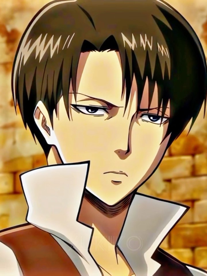 kamiyume_fx в LOOKY. . Levi Ackerman#attack...