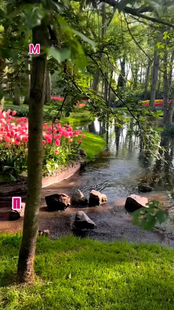 Ellen_45 in LOOKY. . 💥Возможность удален...
