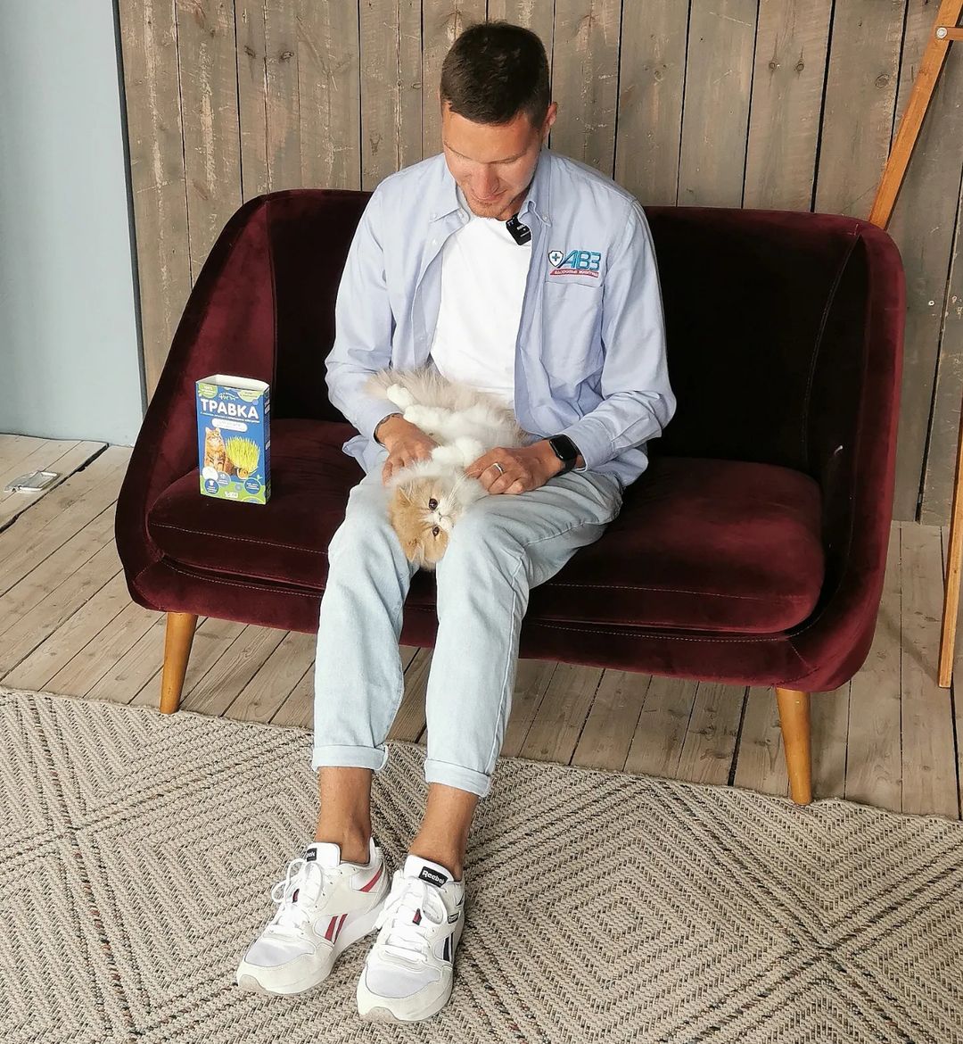 mycatgrooming in LOOKY. #персидскиекошки,#персидскийкот,#экзотическаякороткошерстная,#экзот,#агроветзащита,#авз,#enigmaru,#happyfriendcattery. Съездили с луноликим...