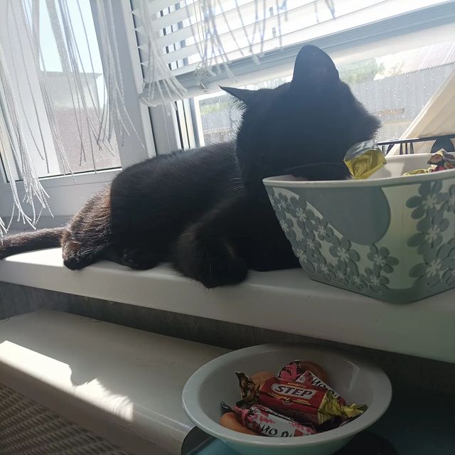mihachar в LOOKY. . Мои конфеты