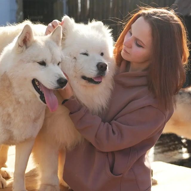 koneko_forever в LOOKY. #хаскигород. #хаскигород