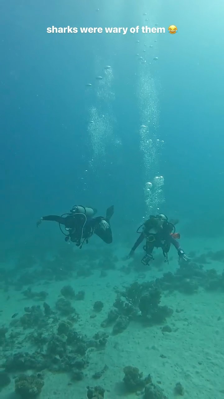 alenagarem в LOOKY. #hurgada,#egypt🇪🇬,#diving,#divingredsea,#дайвинг,#египет,#хургада,#рекомендации,#reelsinstagram. The constant questio...