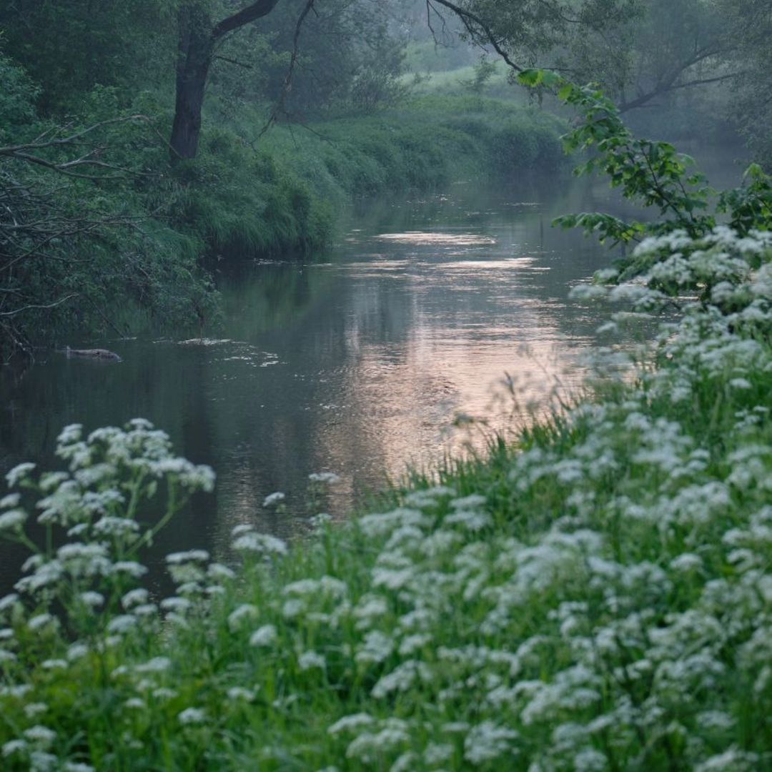 sashkasashkovna в LOOKY — фото 2