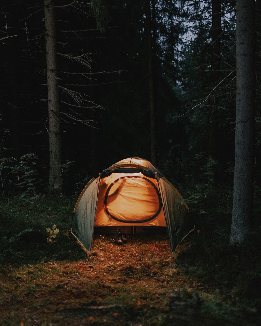 planet.synergetic в LOOKY — Отдыхаем с заботой о планете: что такое экотуризм?

Экотуриз