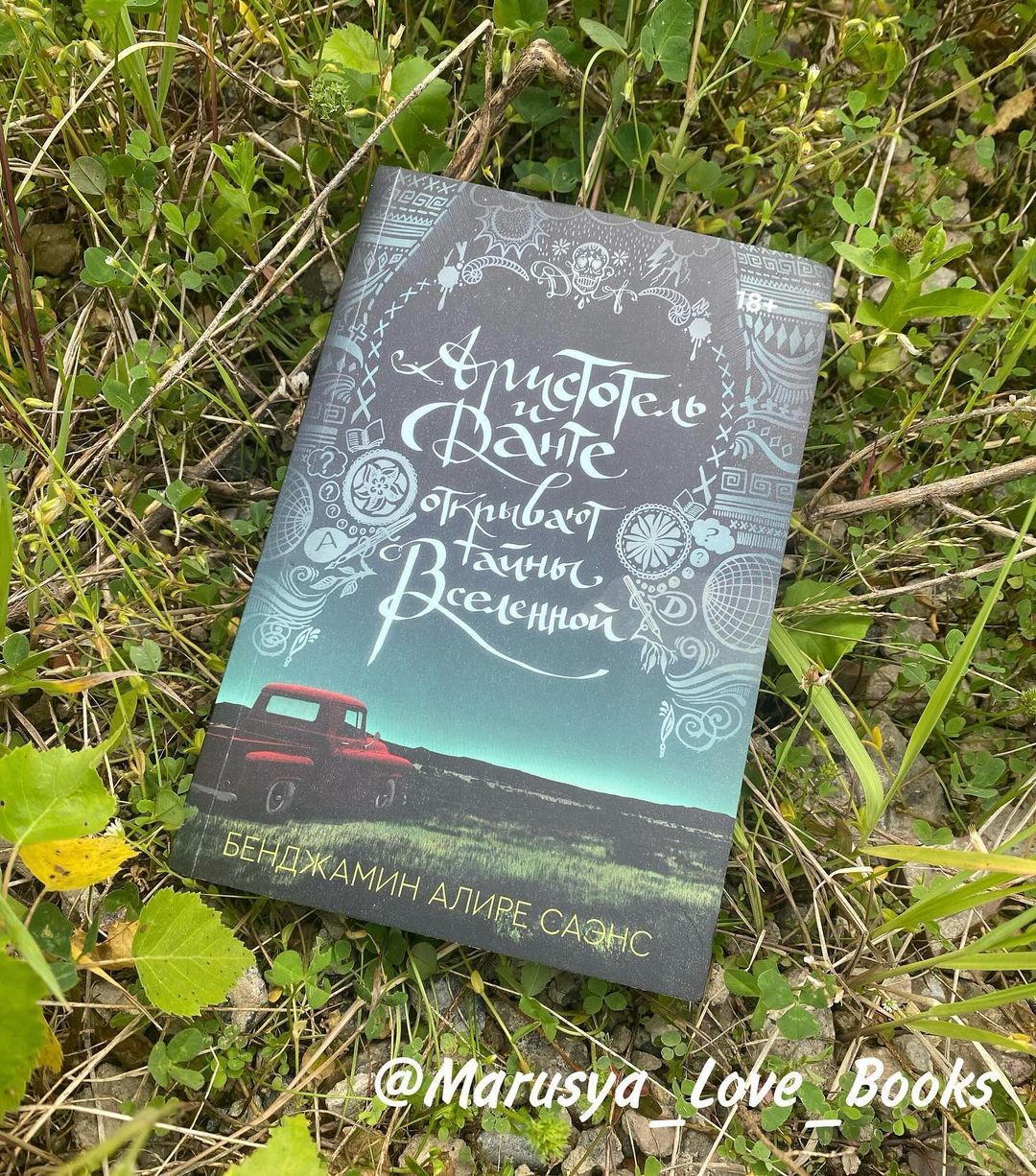 marusya_love_books в LOOKY — 💚 Бьюсь об заклад, что иногда в чьих-то руках можно найти в