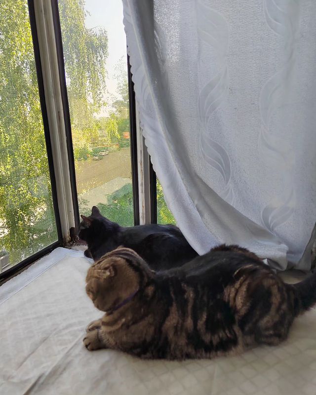 nasibullina.yuliya in LOOKY. . Дождались, наконец т...