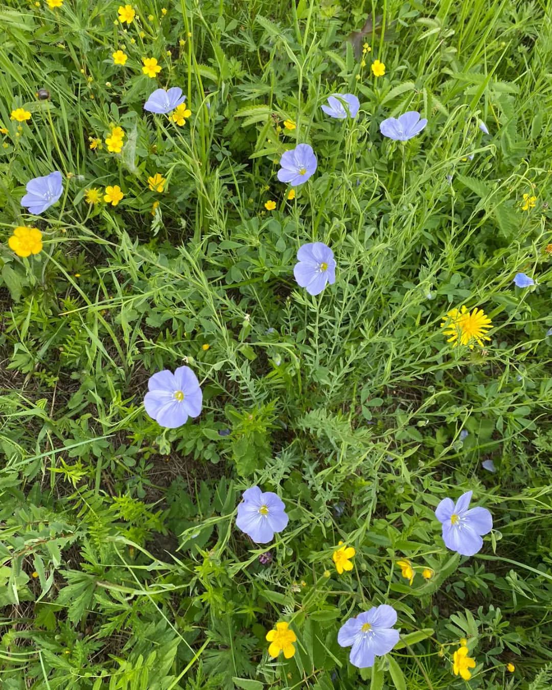 Сайын кэлбитэ учугэйиээн ❤️🌿