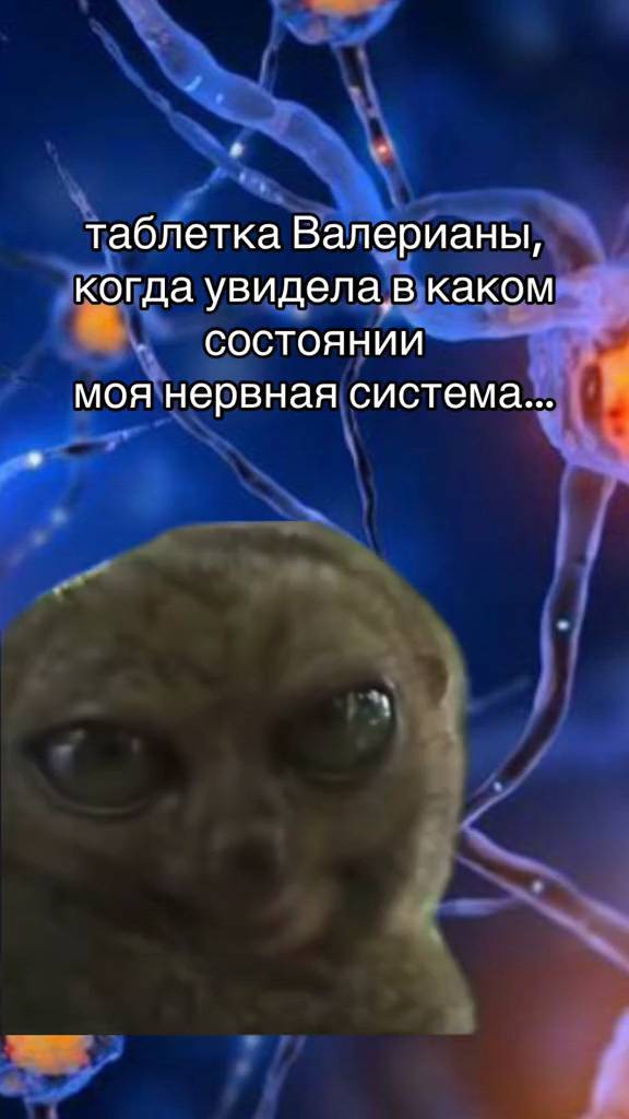 _sugar_2.0_ в LOOKY. #сессия,#валерианка,#таблетка,#учеба,#универ,#общага,#экзамен,#экзамены,#нервнаысистема,#срыв,#тревога,#тревожность,#университет,#студенты,#студент,#студентка. #сессия #валерианка ...