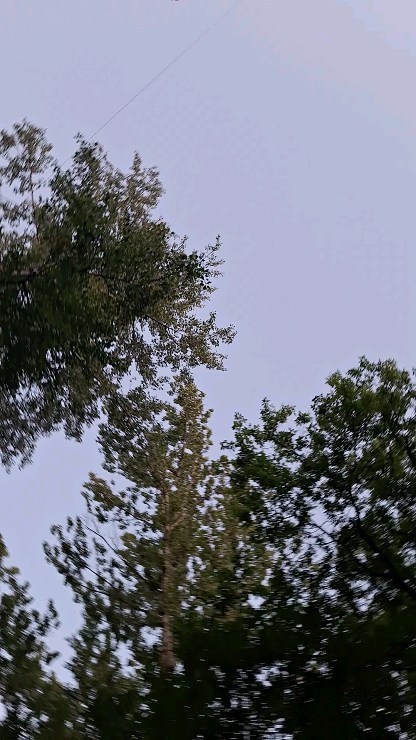 sult1anym in LOOKY. . null