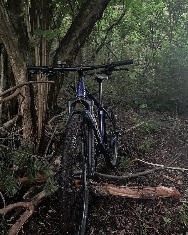 elvin_one в LOOKY. #mtb,#orbea. #mtb #orbea