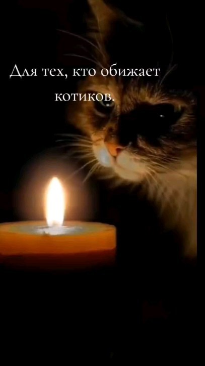 muxakot в LOOKY. . null
