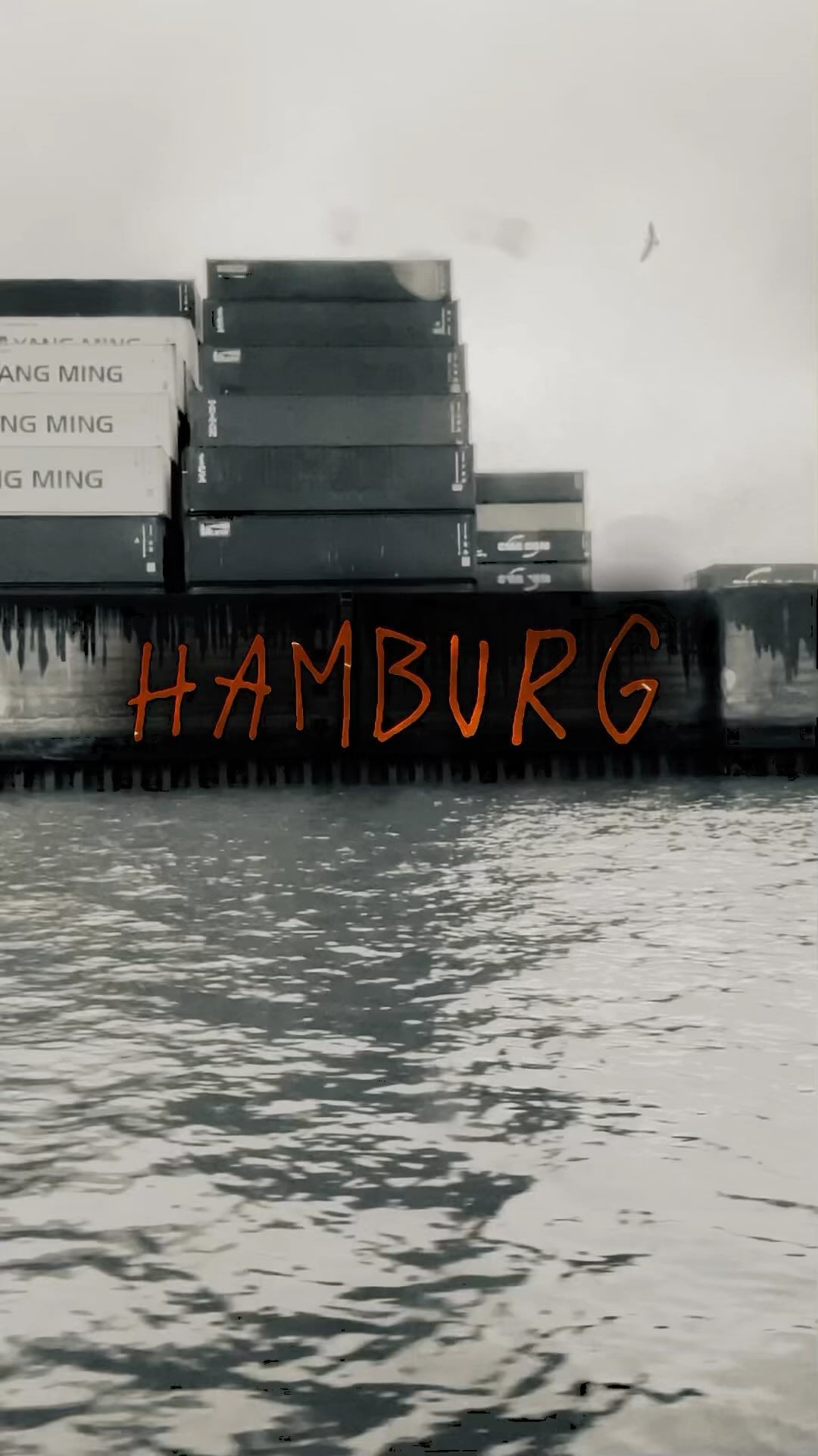 memberofnature в LOOKY. #hamburg,#onelove,#harbour,#hafen. #hamburg #onelove #h...