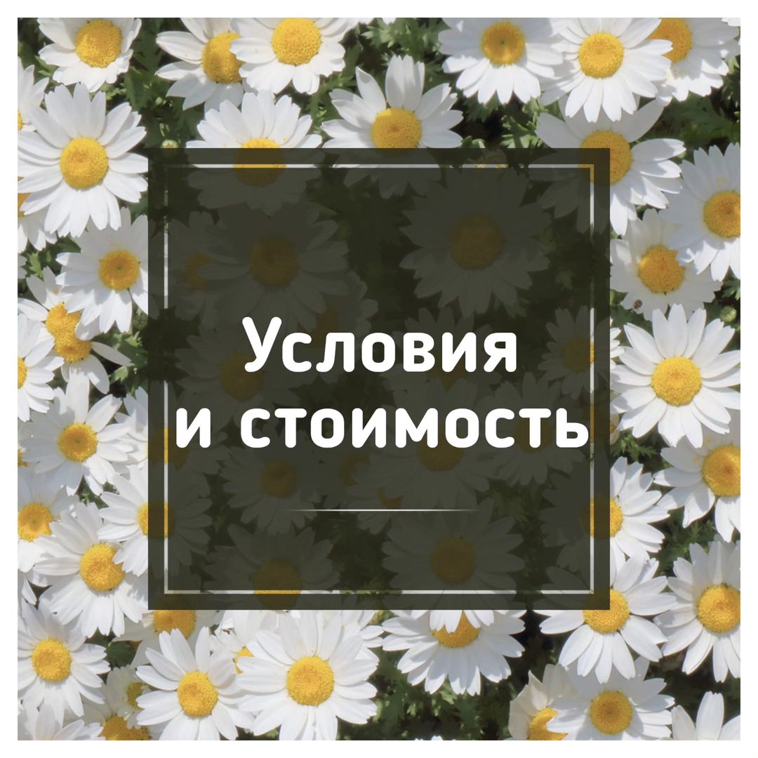 Важная информация для
рекламодателей:
-Я не несу ответственность за приход;
-После проведенной рекламы оплату не
возвращаю.
- Делаю рекламу адаптируя под свою аудиторию и под свой стиль. Перевожу рекламу в скрытую рекламу(как личная рекомендация)

Стоимость:
- storis 50 б.р
- storis + reels 70 б.р
Товары на бартер беру стоимостью не ниже моей рекламы (или с доплатой)

*По новым законам РБ с товара по бартеру блогер должен оплатить 10% с перевода для заказа, в убыток себе не работаю. 
#блогер #реклама #бартер #сотрудничество