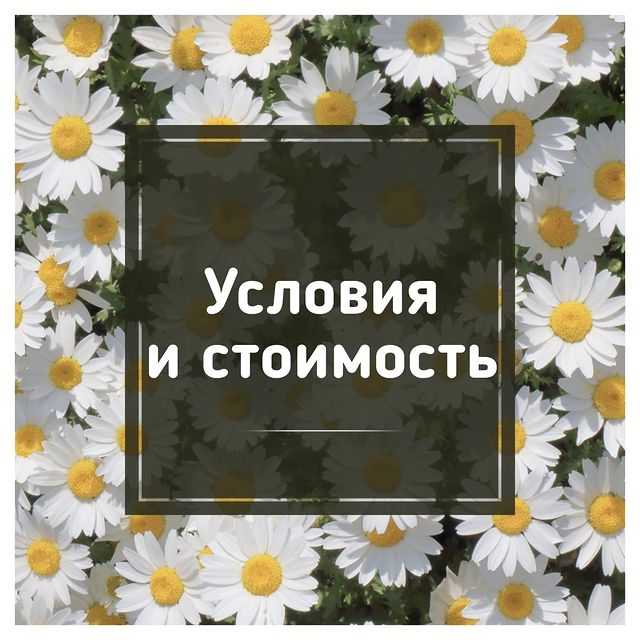 olikuntik_pr в LOOKY. #блогер,#реклама,#бартер,#сотрудничество. Важная информация дл...