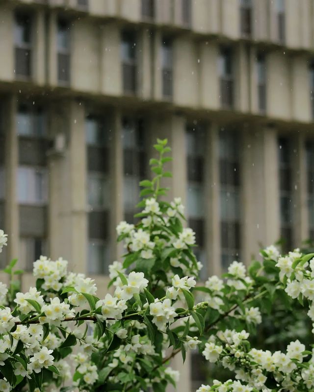 veronya._ в LOOKY. . null