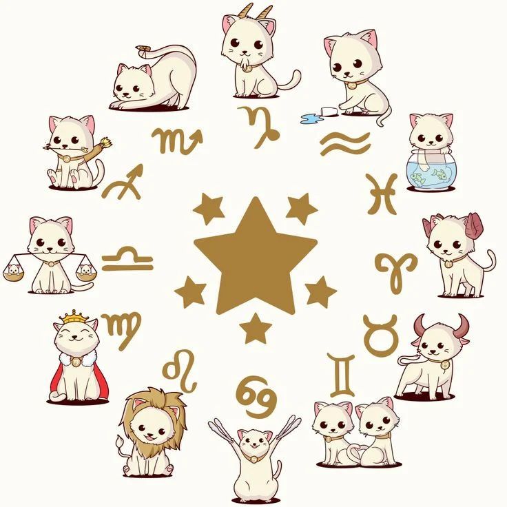 ania.tarot.reader в LOOKY — АСТРОЗАМЕТКИ

Если у вас Юпитер в соединении с Сатурном, вы 