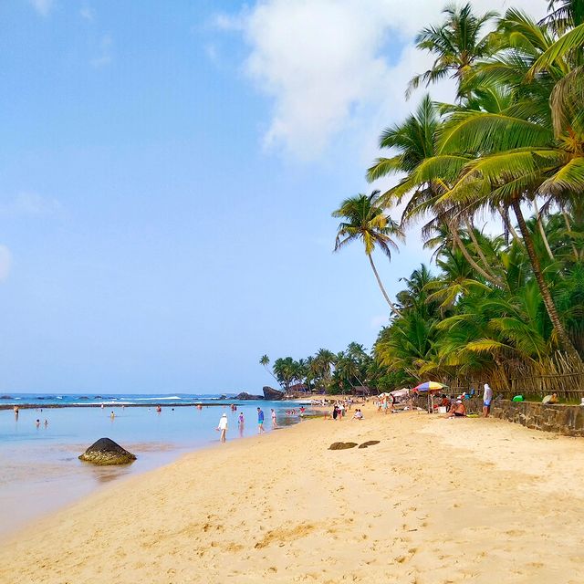sachinserzh в LOOKY. #srilanka,#unawatuna,#vibe. Немного Ланкийского ...