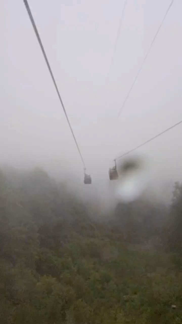taniusha_evt в LOOKY. . Это видео точно долж...