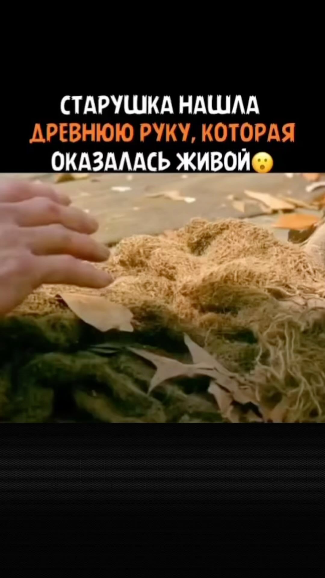 ПОЛЕЗНЫЕ СОВЕТЫ ЛАЙФХАКИ в LOOKY. . Хотите провести клас...