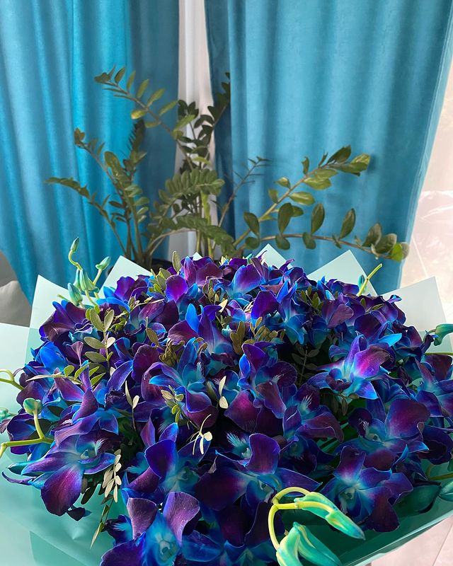 mmilano4ka в LOOKY. . null