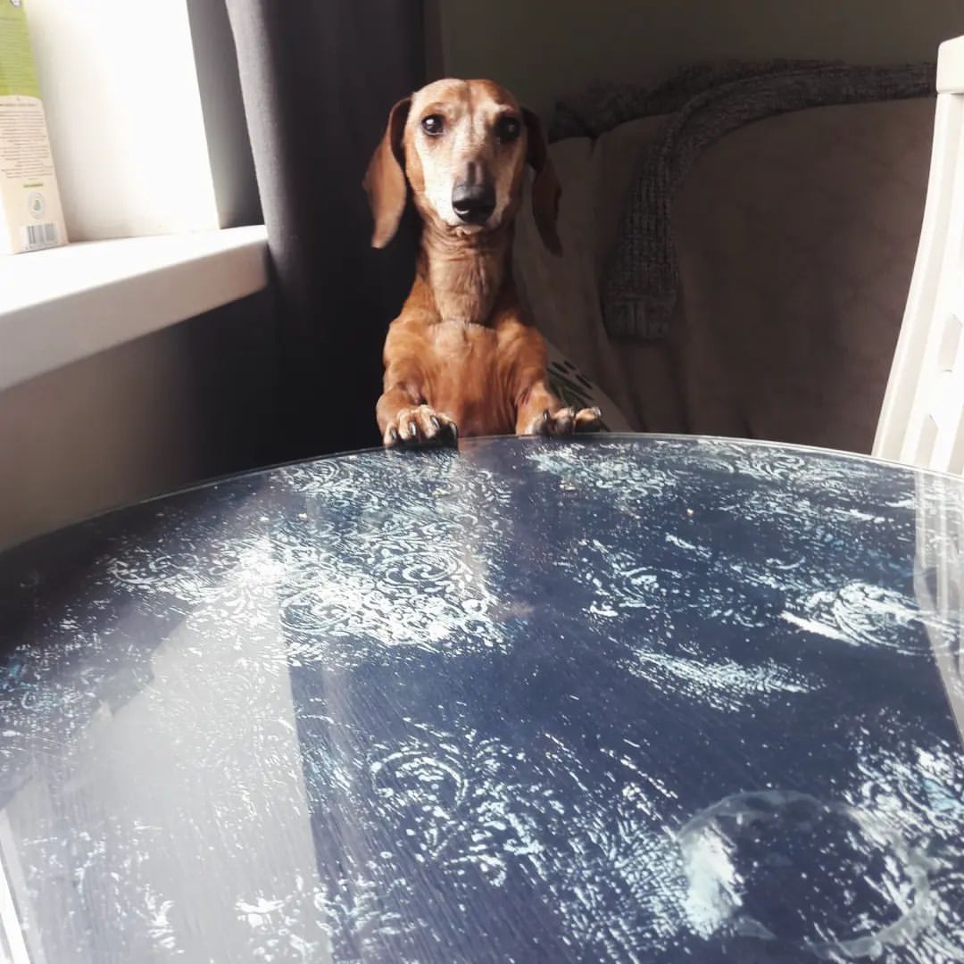 e_kazantseva_13 в LOOKY — фото 3