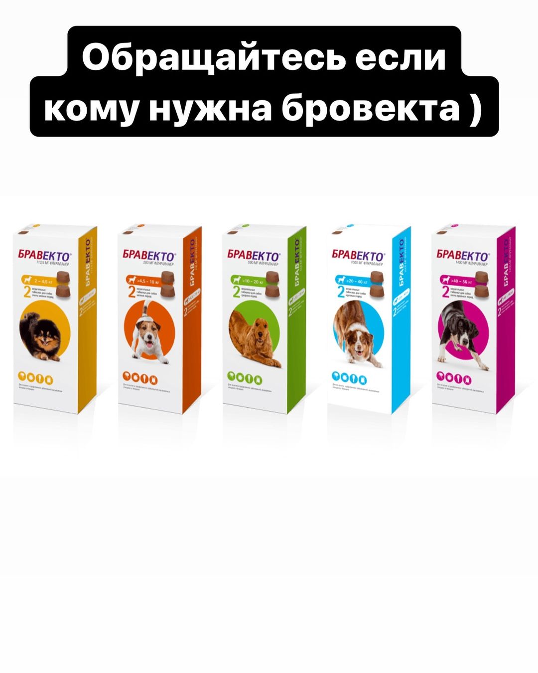 maine_coon_fengshui в LOOKY — публикация