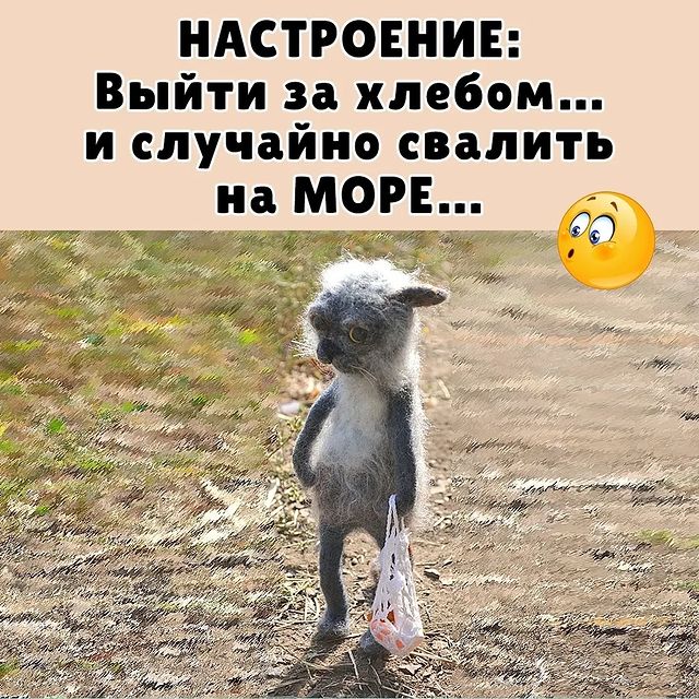 leysanchikairatovna в LOOKY. . null