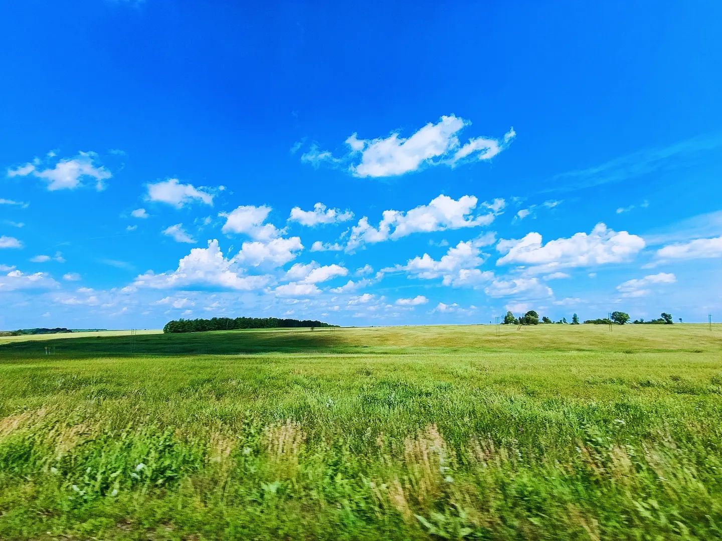 wild_zne в LOOKY. . Вот вам красоты наше...