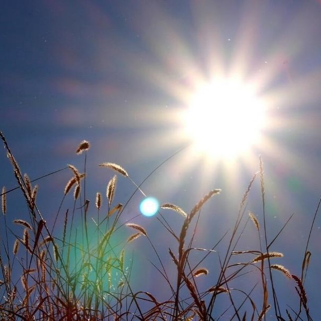 astro_shevol в LOOKY — День летнего солнцестояния сегодня, друзья!
🌿☀️🌿☀️🌿☀️🌿

