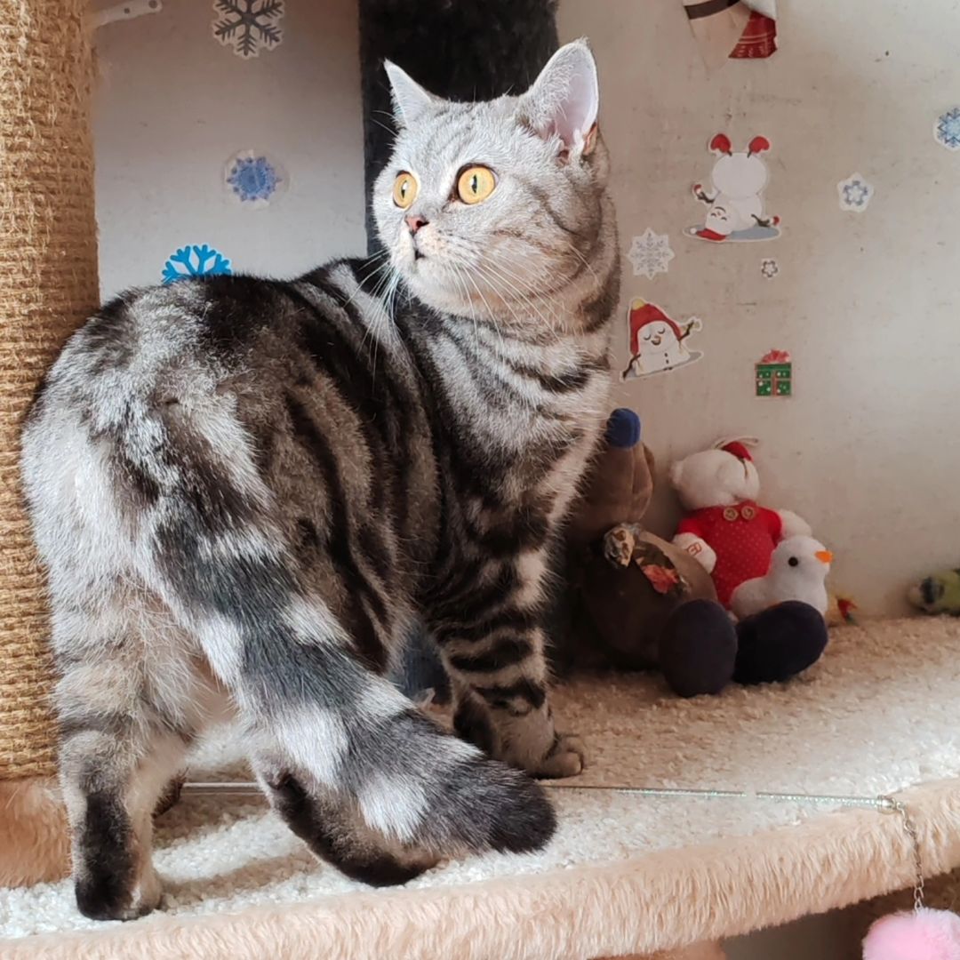 hotel_kotfelix в LOOKY — фото 2