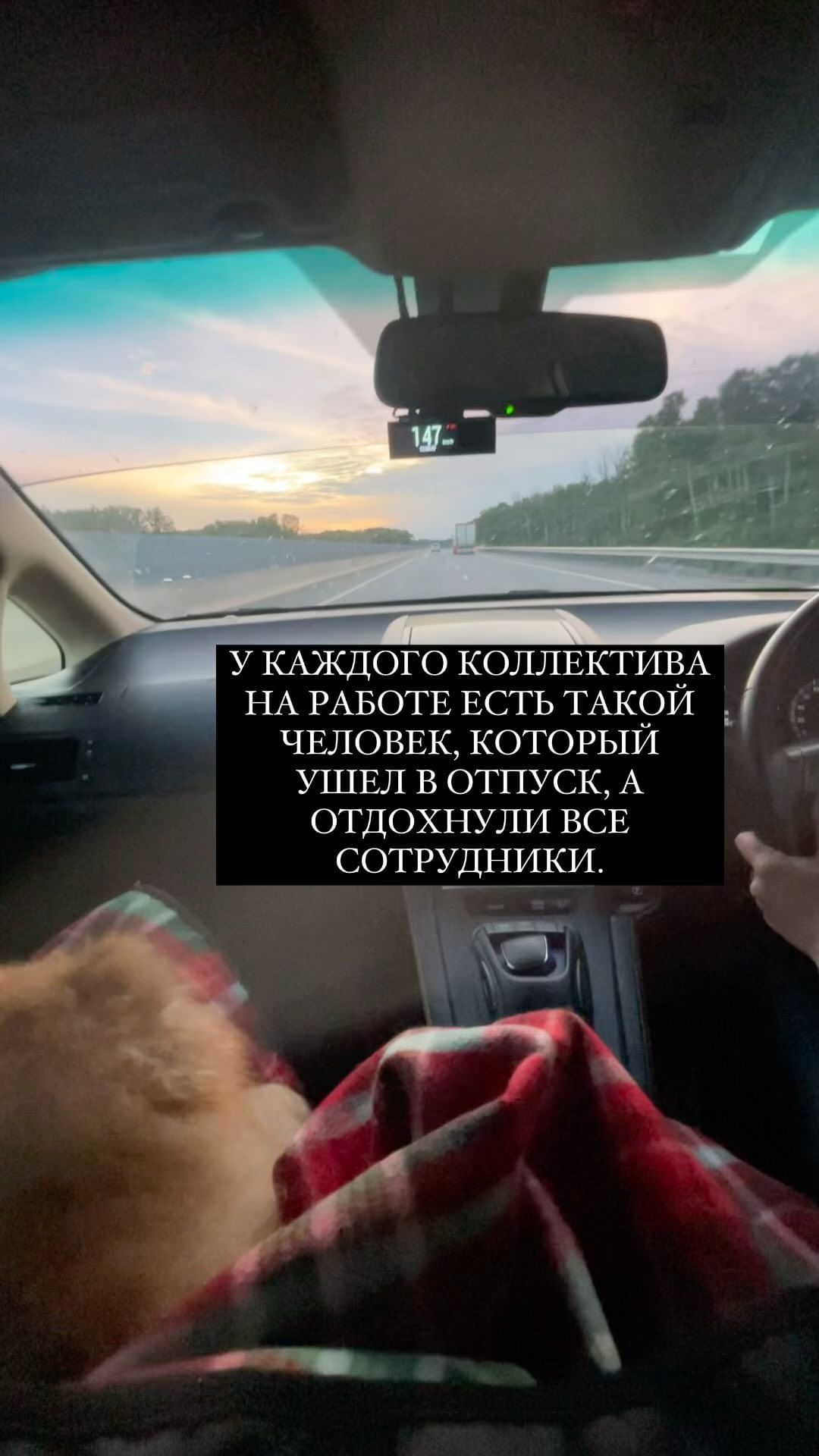 kifiren в LOOKY. . null