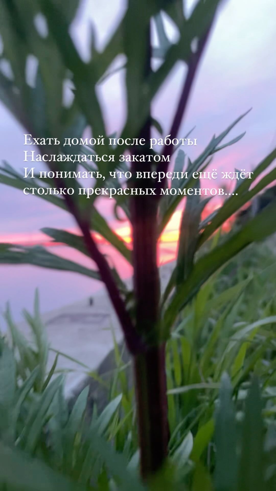 kifiren в LOOKY. . null