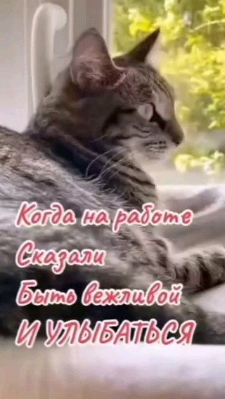 lyudmila_zyuz в LOOKY. . null