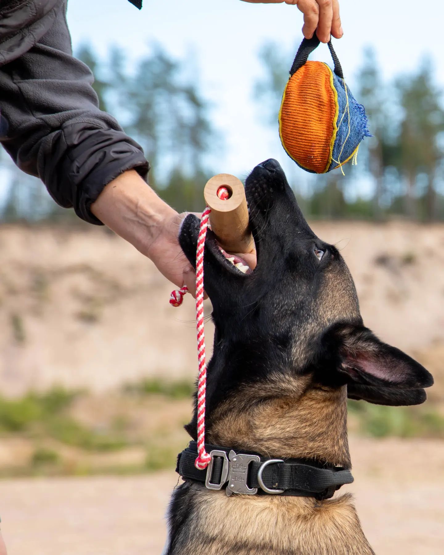 bikej_dogs94 в LOOKY. . null