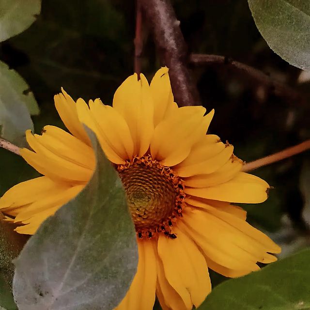 nikki_the_1629 в LOOKY. . null
