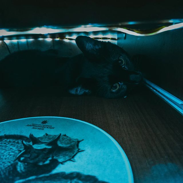 sumkinda_monster в LOOKY. . null