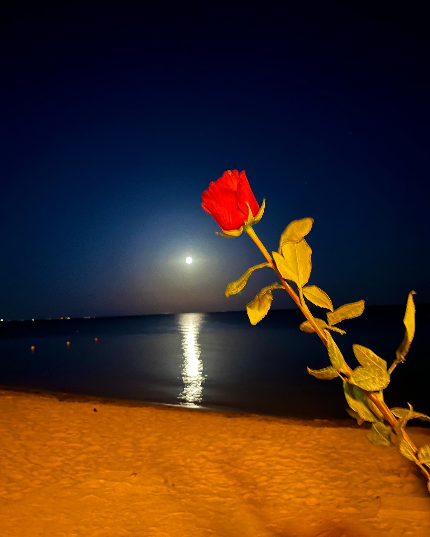 dashulya_mimi в LOOKY. . null