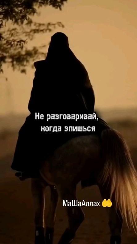 Гутаковская Галина| Смм| Продвижение| в LOOKY. #ислам☪️,#иман,#напоминание,#сунна,#хиджаб,#религия,#мечеть,#мусульманка,#ислам,#намаз,#islam,#quran,#subhanallah,#хадисыпророкамухаммадаﷺ,#суннапророка,#аят,#азан,#хадж,#мекка,#хадисы,#хадис,#умма,#сура,#мухаммад,#мусульманин,#мухаммадﷺ,#таухид,#алхамдулиллах,#субханаллах,#иншааллах. Как же я люблю свою ...