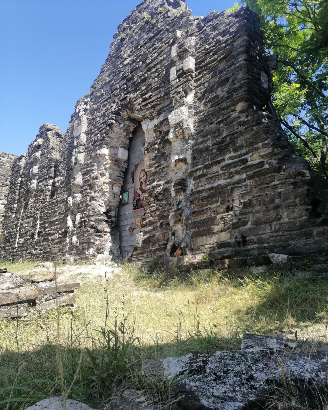 n_krasova21