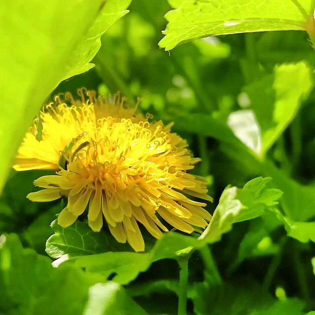 nikki_the_1629 в LOOKY. . null