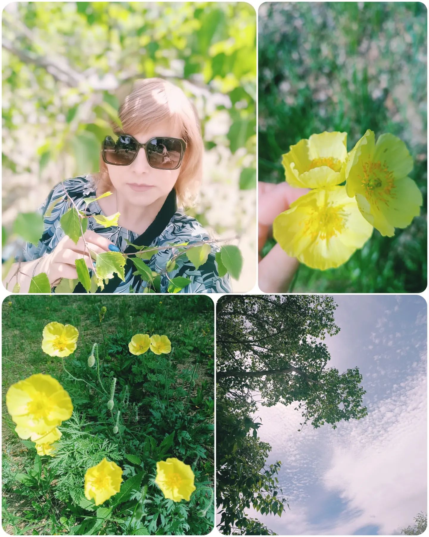 liubaevtukhova в LOOKY. #прогулка,#тополиныйпух,#лесныепрогулки. Летние фото. #прогул...