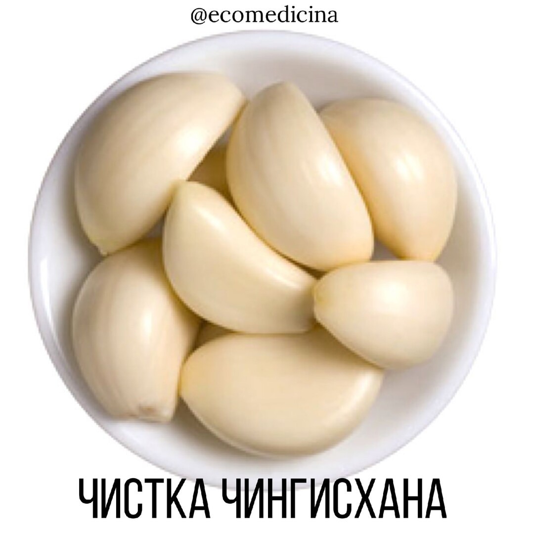 Экологичное Сознание ЗОЖ эко в LOOKY — 📛СУРОВЫЙ РЕЦЕПТ ЧИНГИСХАНА

Чесночное очищение организма от