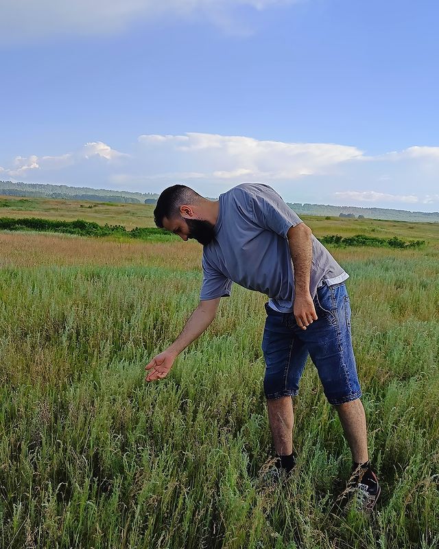mustafaev92 в LOOKY. . null