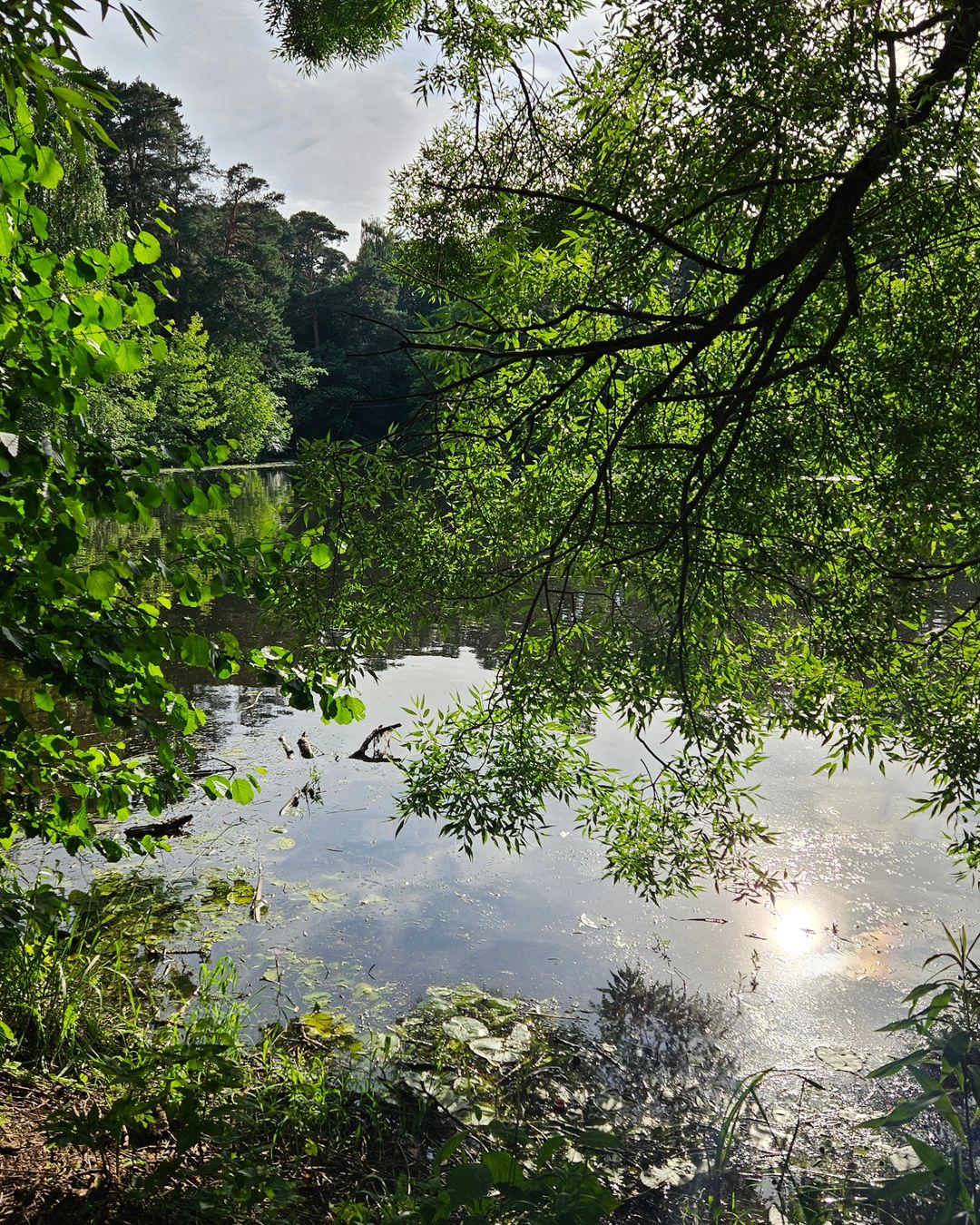bella_._._bella в LOOKY — фото 8