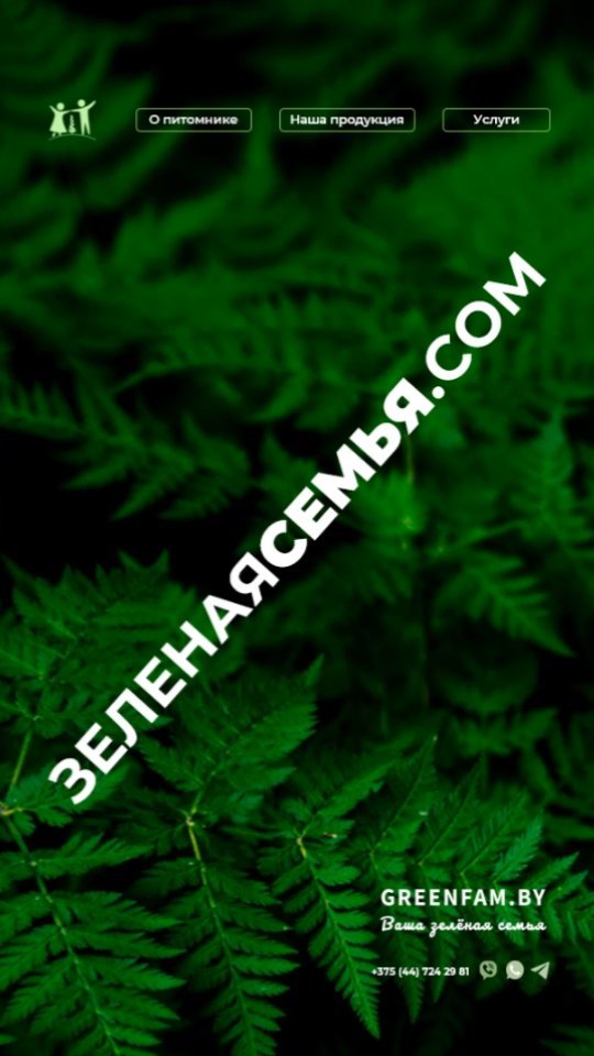 tim.visual в LOOKY. . 👉 https://t.me/timu...