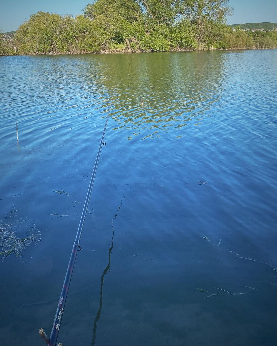 vegetable_fairy в LOOKY — Caught Zen🧘🏼‍♀️🎣 #world #fishing🎣 #zen #fish #nature #su