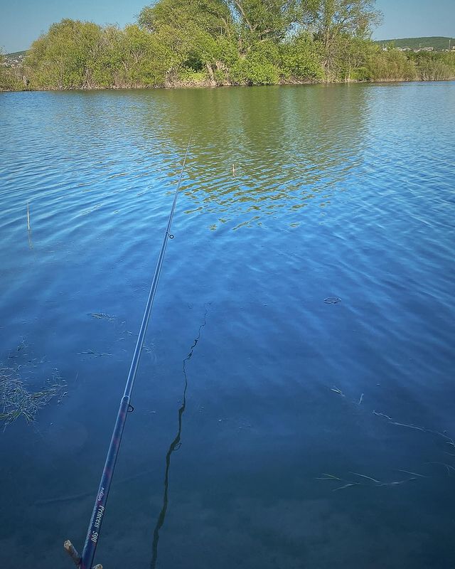vegetable_fairy in LOOKY. #world,#fishing🎣,#zen,#fish,#nature,#summer. Caught Zen🧘🏼‍♀️🎣 ...