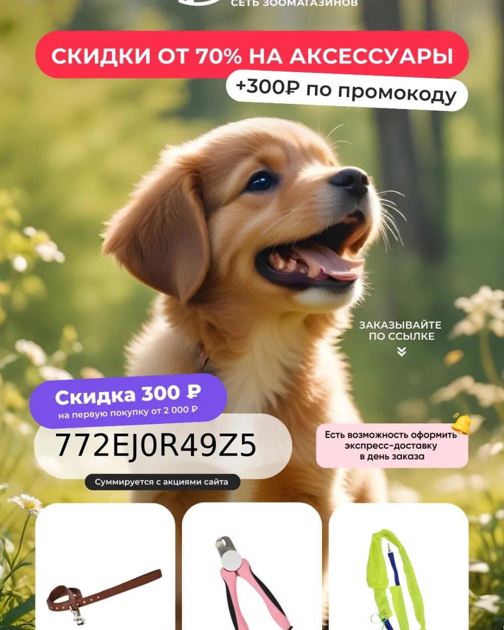 yliasasima в LOOKY — Как путешествовать с питомцем? 

Планируя поездку, многие хо